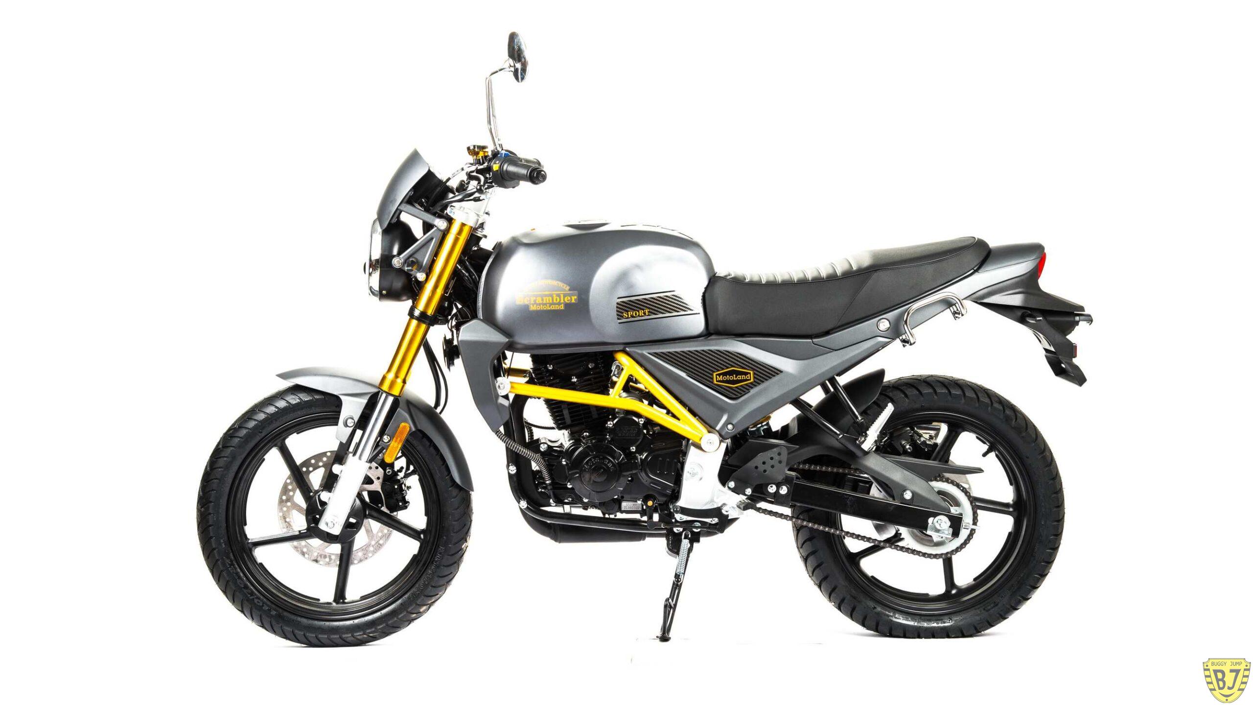 Мотоцикл дорожный Motoland SCRAMBLER 250 с ПТС — изображение 2