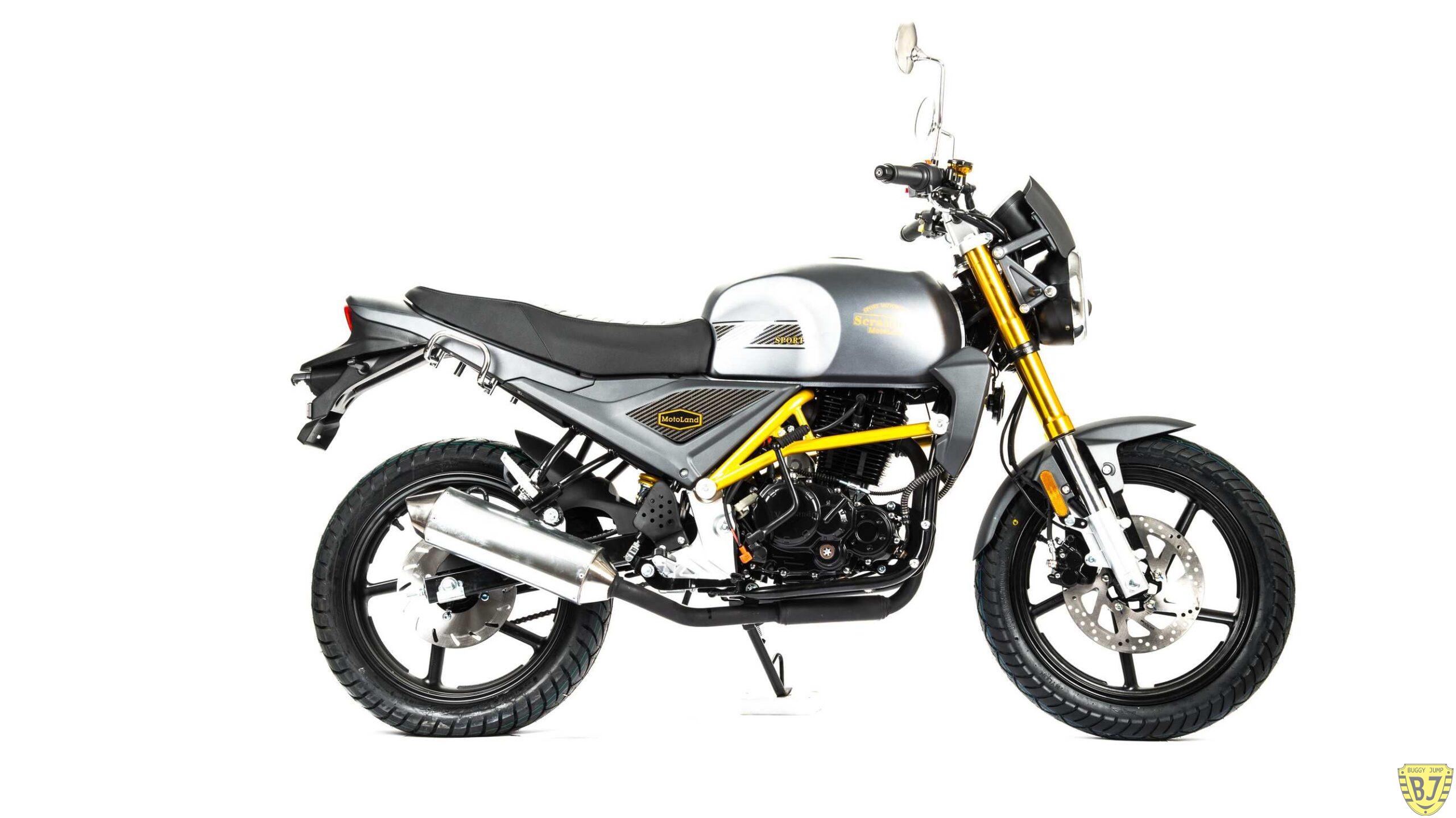 Мотоцикл дорожный Motoland SCRAMBLER 250 с ПТС — изображение 3