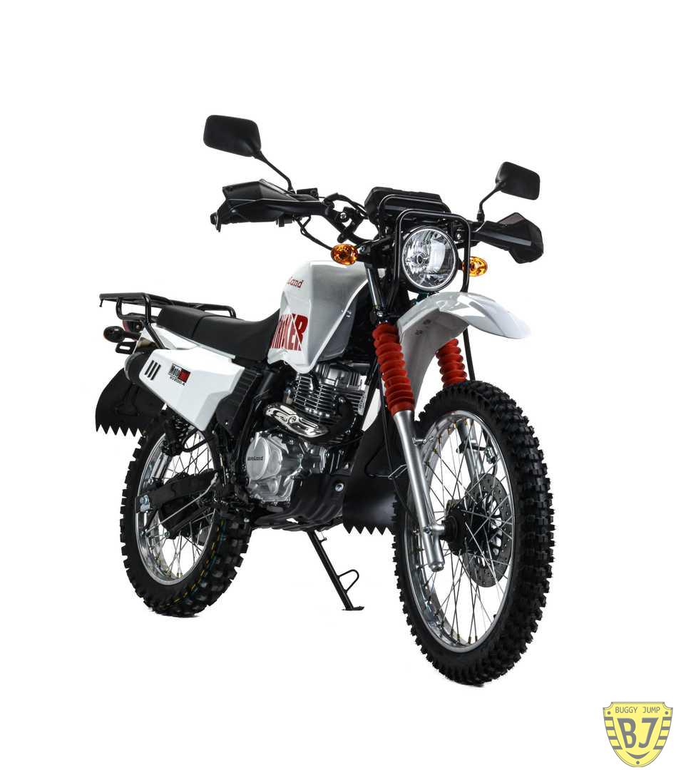 Мотоцикл дорожный Motoland STRIKER 200 — изображение 5