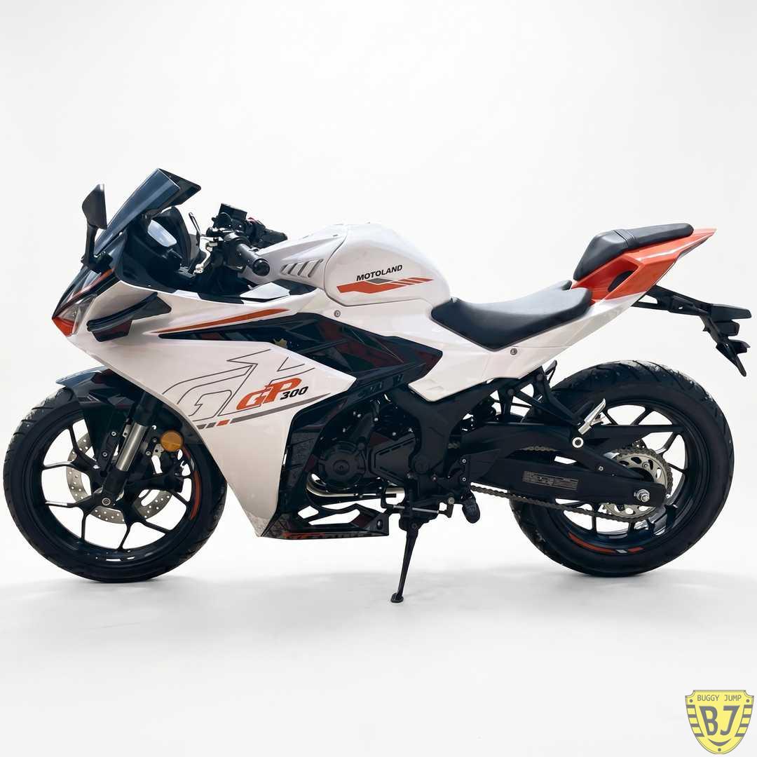 Мотоцикл дорожный Motoland GP 300 — изображение 2