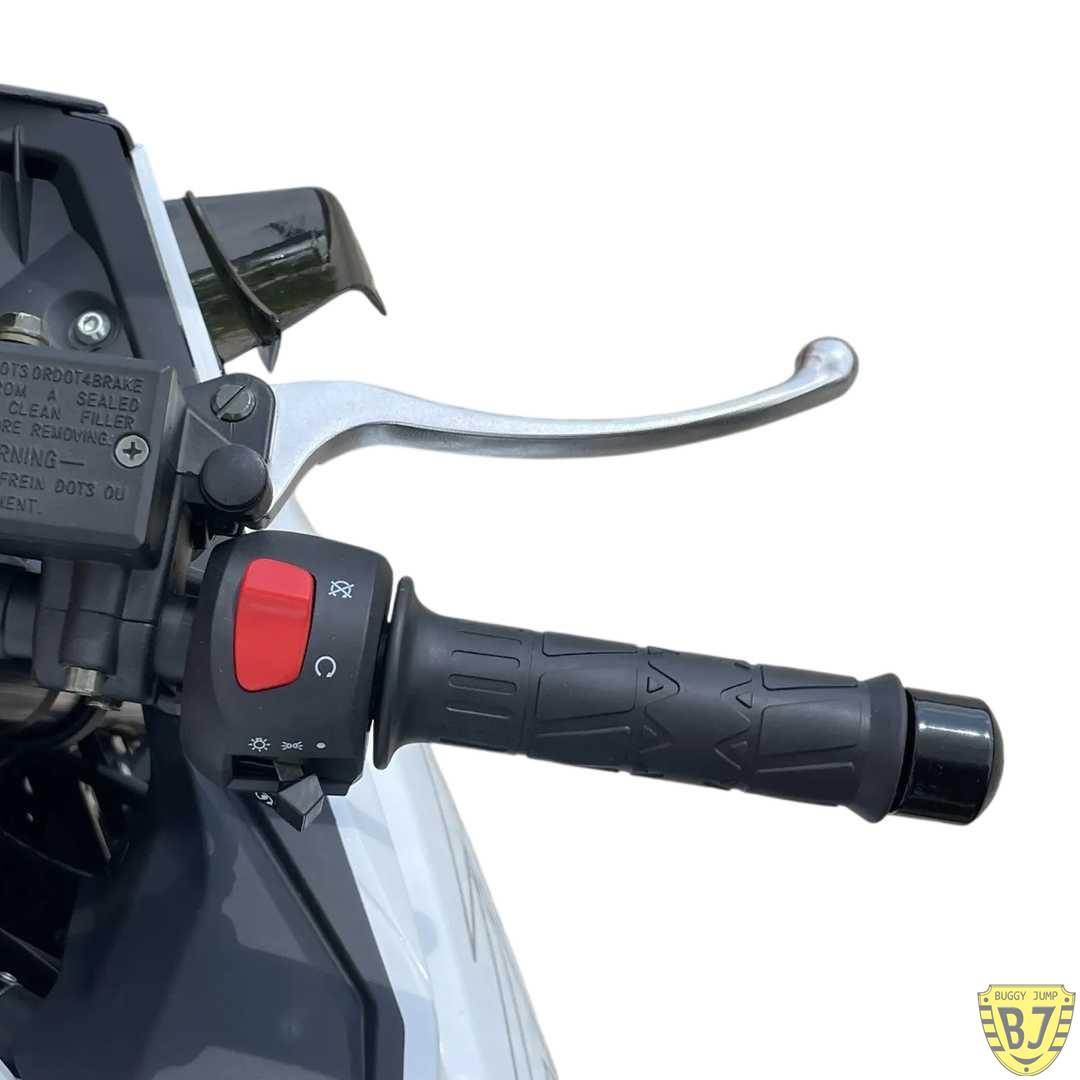 Мотоцикл дорожный Motoland GP 300 — изображение 9