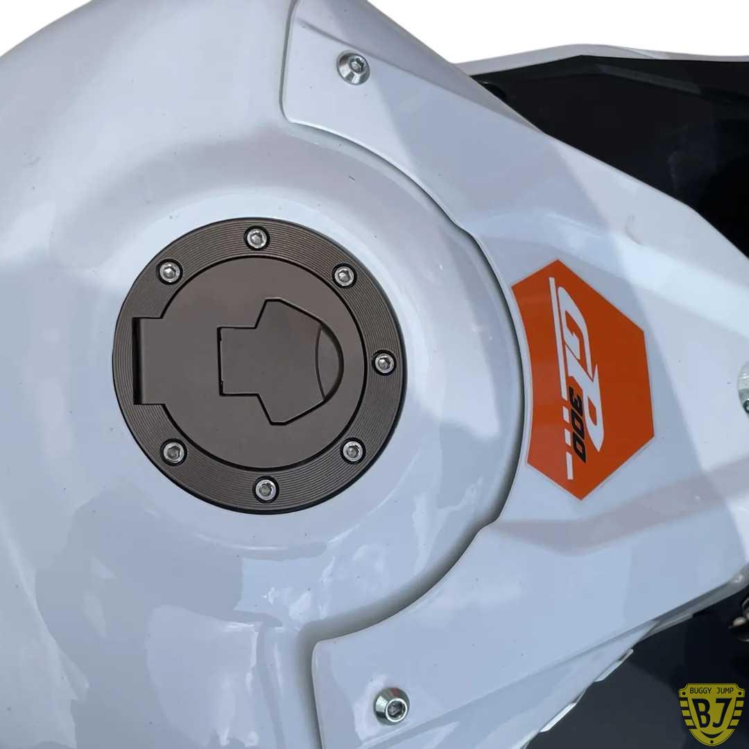Мотоцикл дорожный Motoland GP 300 — изображение 11