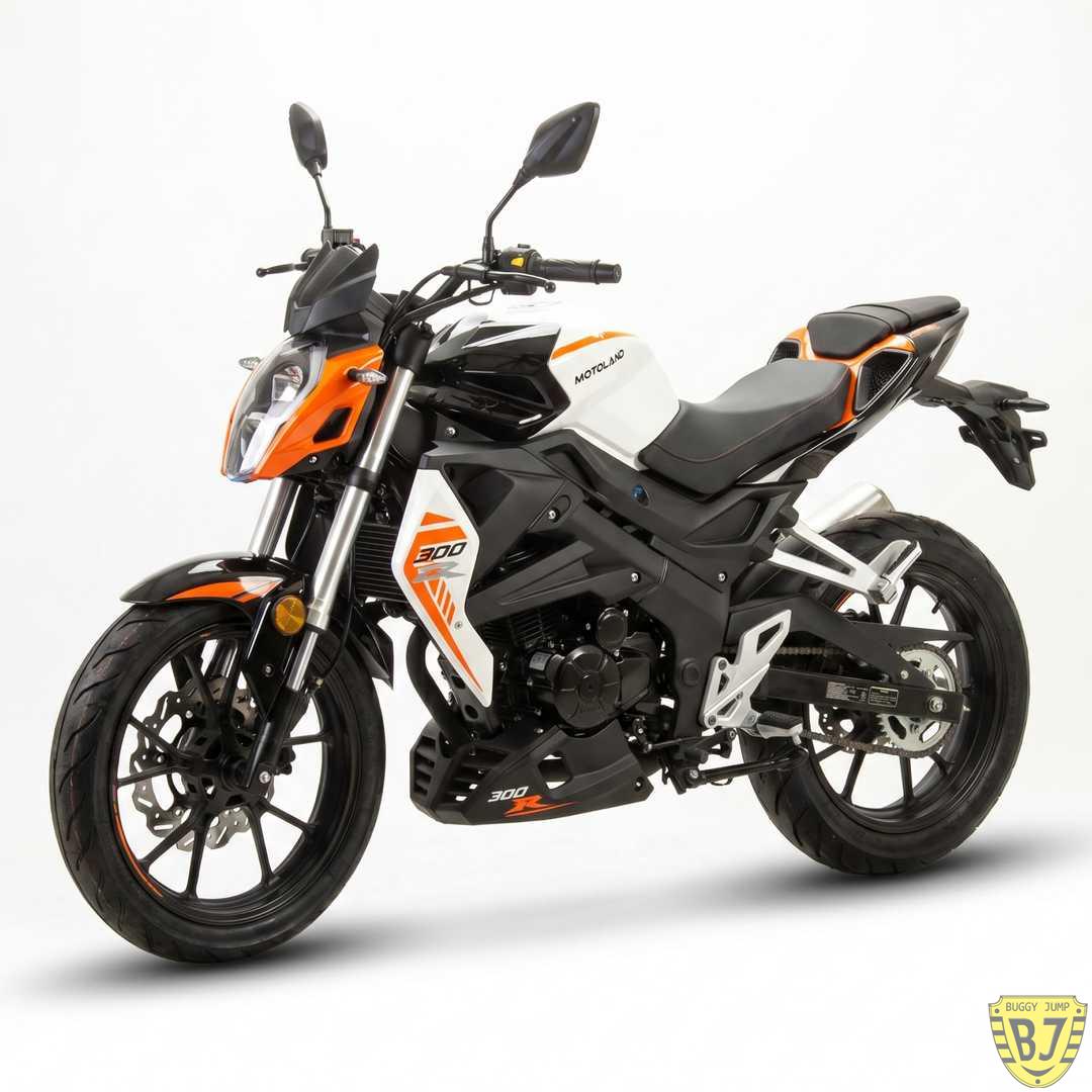 Мотоцикл дорожный Motoland WASP 300 — изображение 2