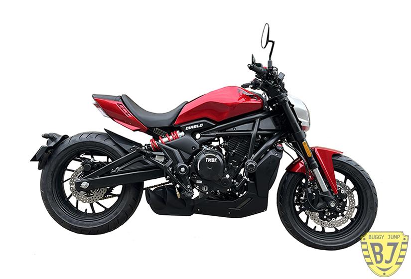 Мотоцикл TMBK DIABLO 650 — изображение 8