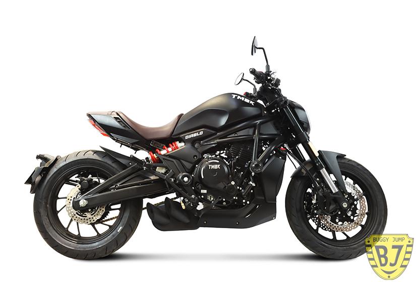 Мотоцикл TMBK DIABLO 650 — изображение 2