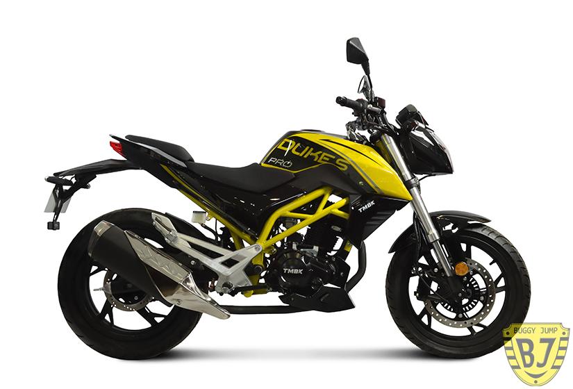 Мотоцикл TMBK DUKES 250 PRO — изображение 12