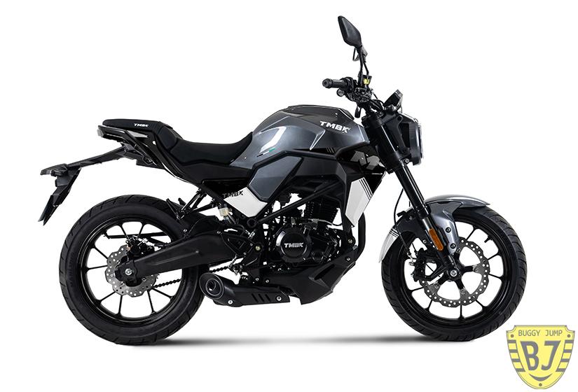 Мотоцикл TMBK MONTANA 250 NG — изображение 7