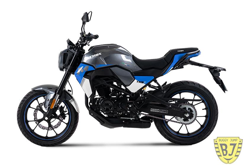 Мотоцикл TMBK MONTANA 250 NG — изображение 3