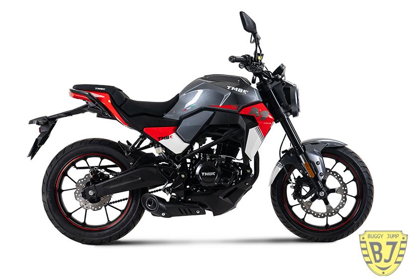 Мотоцикл TMBK MONTANA 250 NG — изображение 10