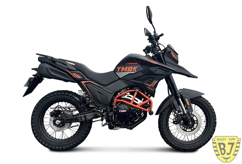 Мотоцикл TMBK RIGO 250 — изображение 2