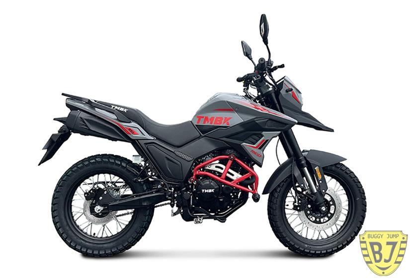 Мотоцикл TMBK RIGO 250 — изображение 6