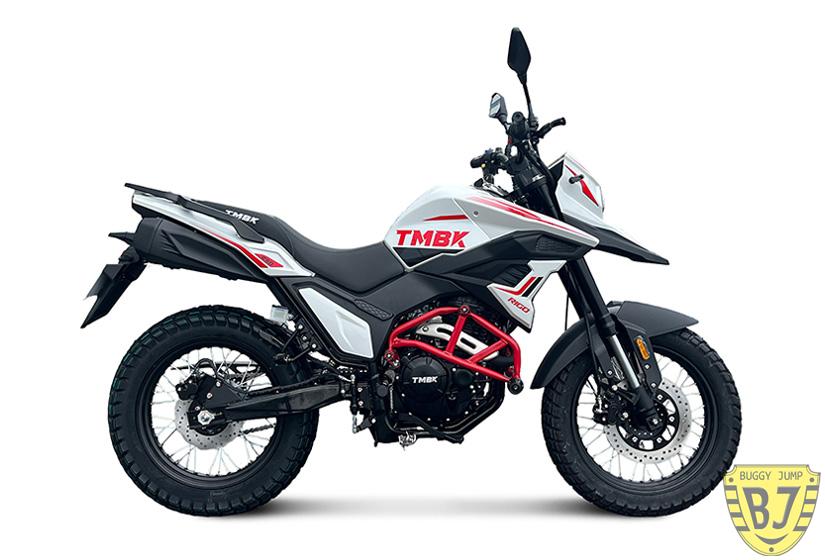 Мотоцикл TMBK RIGO 250 — изображение 7